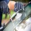 Call now for your free auto glass quote in Davisburg MI 48350!!