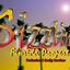 Sizzling Florida Properties Logo