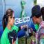 Geico Insurance