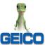 Geico Insurance