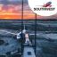 Southwest Airlines